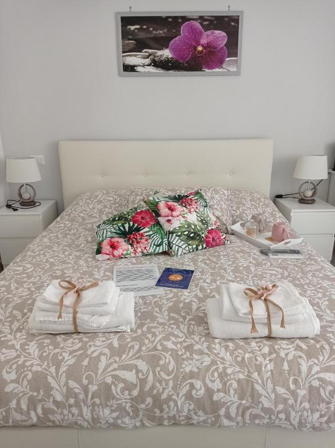 B&B La Palmetta Civitavecchia Dış mekan fotoğraf
